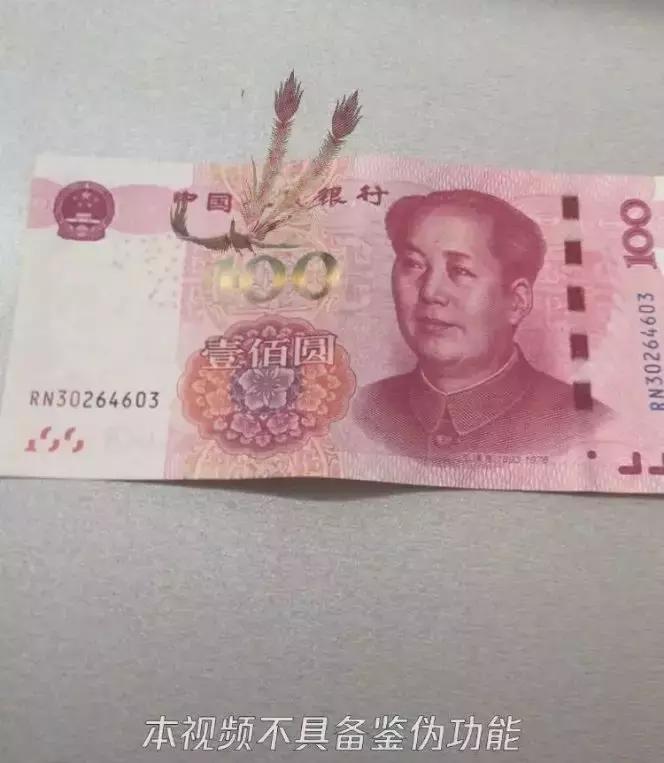 螃蟹中注入鸡蛋,螃蟹注入蛋黄还能活吗