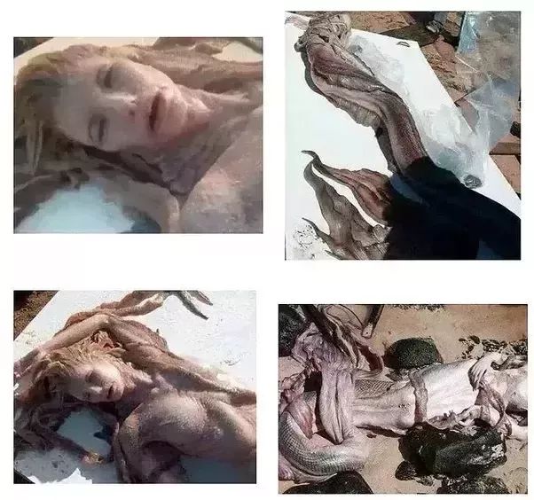 一张震撼世人的假照片,你看到的不一定是真相图片