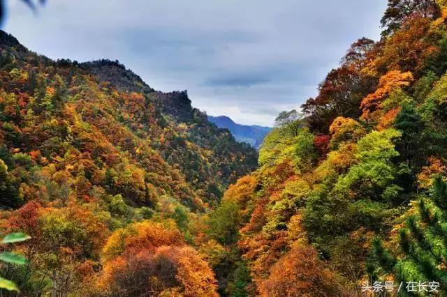 西安秦岭自驾一日游免费景点,西安出发一小时深藏秦岭山水秘境