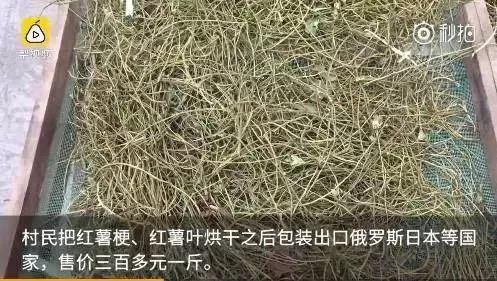 农村东西卖得很贵,农村什么东西能卖一万