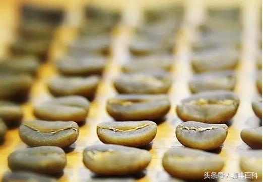 小白去咖啡店怎么点咖啡,小白怎样去操作咖啡店