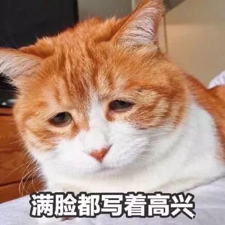 中国锦鲤内容,最近的中国锦鲤是什么