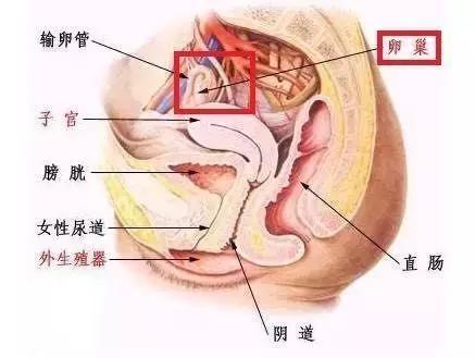 这几个坑人美容项目尽量别做,美容院害惨了多少中国女人
