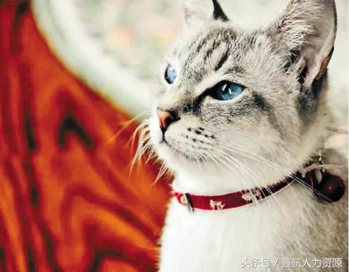 假如你今年23岁，你会允许自己“熬未来”么？