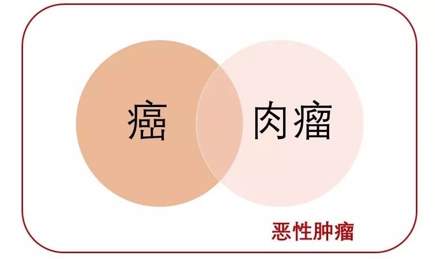 我有子宫肌瘤，会不会癌变，我想开掉！