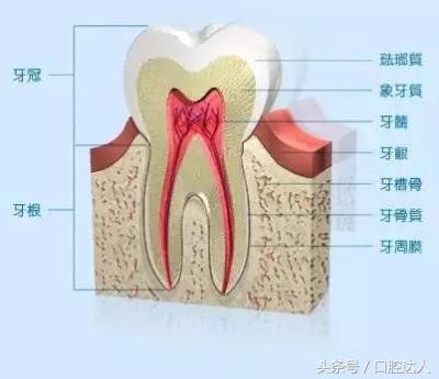 牙齿矫正要先磨牙吗,牙齿矫正必须先拔掉智齿嘛