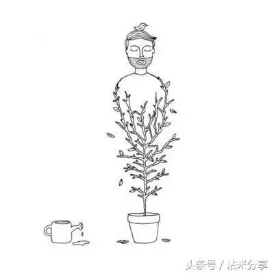 句句精辟的心灵鸡汤经典语录,心灵鸡汤励志经典句子句句暖心