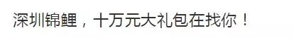 18年的锦鲤活动有哪些,锦鲤的活动在哪里