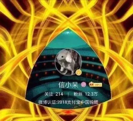18年的锦鲤活动有哪些,锦鲤的活动在哪里