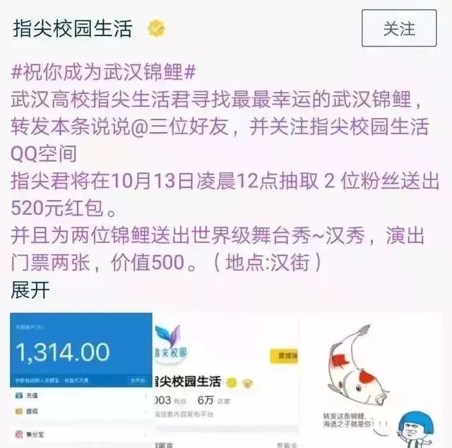 18年的锦鲤活动有哪些,锦鲤的活动在哪里