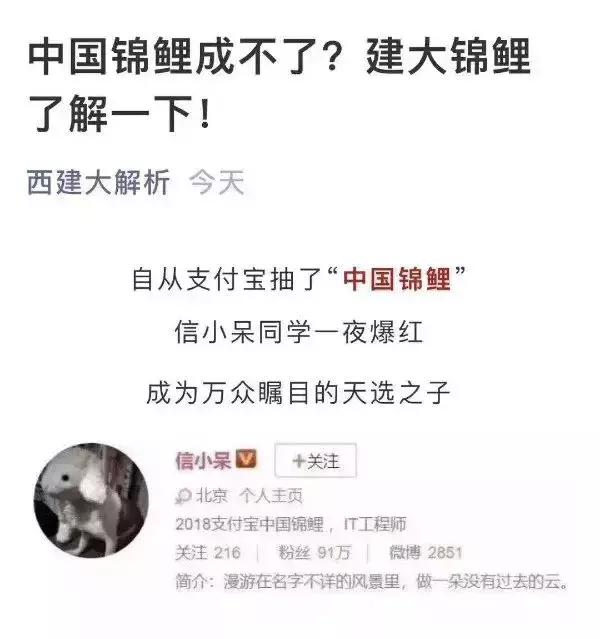 18年的锦鲤活动有哪些,锦鲤的活动在哪里
