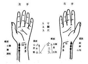 诊脉基本功练习,领会脉学入门