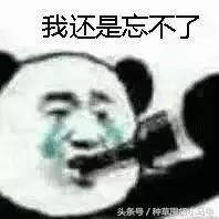 泰国ray面膜产地广州,泰国蚕丝面膜ray