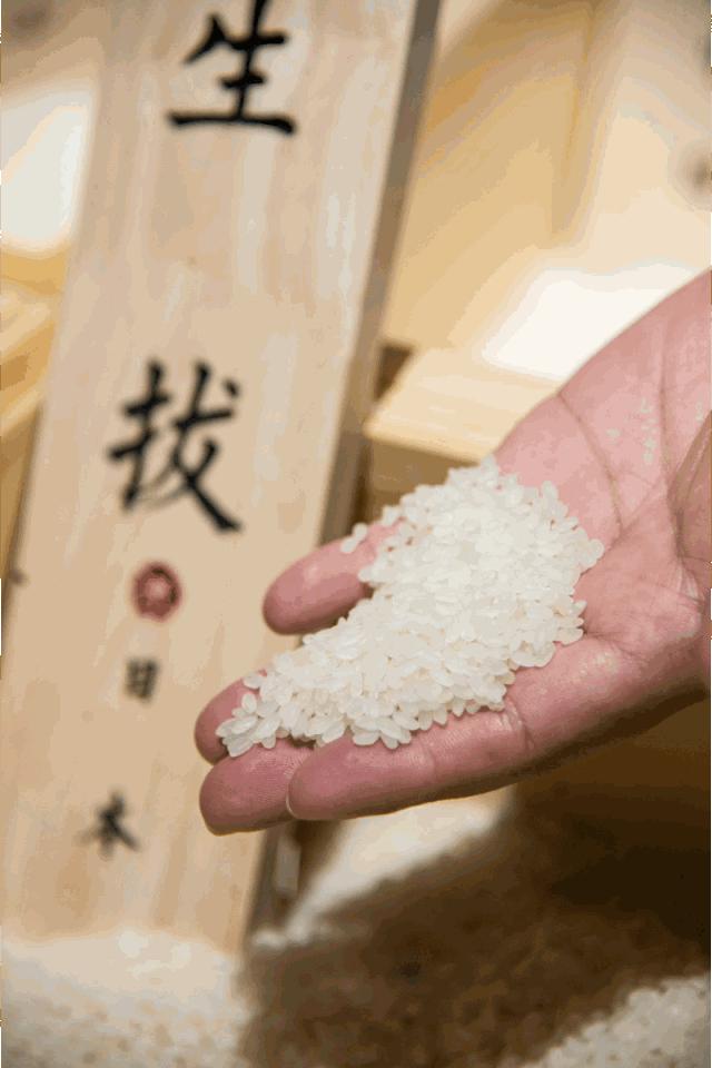 白米饭C位出道，全球精选食材都甘当配角！