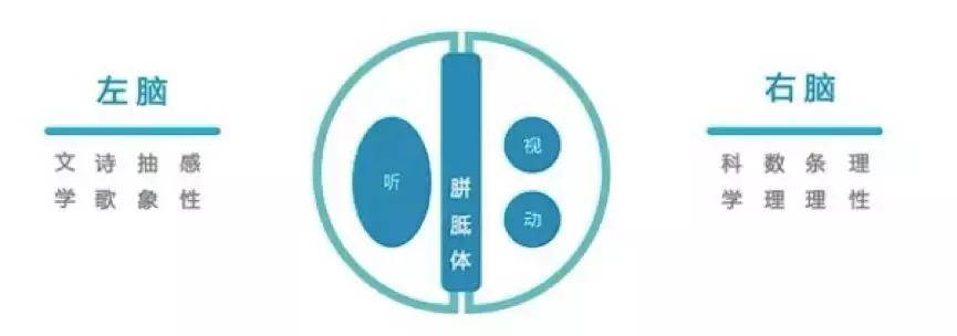 孩子有多动症一定要用药吗,有多动症的孩子专注力好的吗