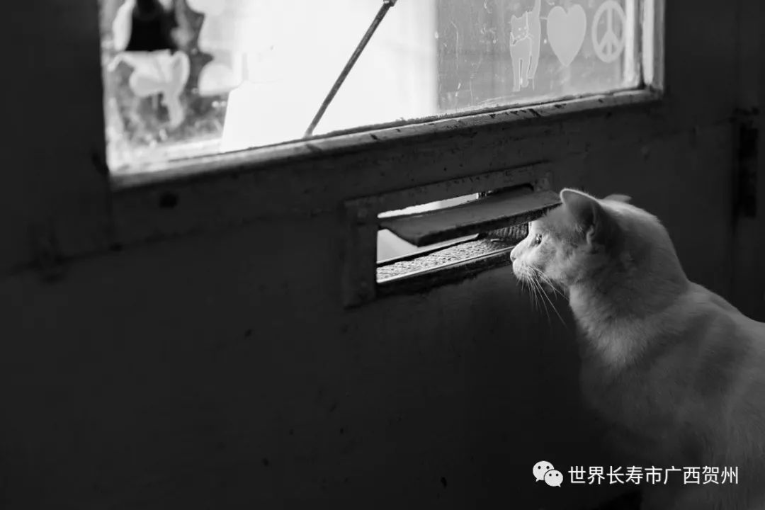 我们在找你“城市观察者”，你说故事，我有礼品