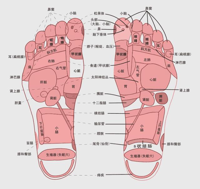 小泡脚盆自动加热按摩,脚部按摩加热足浴盆