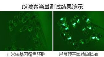 80元一斤猫粮,几十块钱十斤的猫粮对猫有危害吗