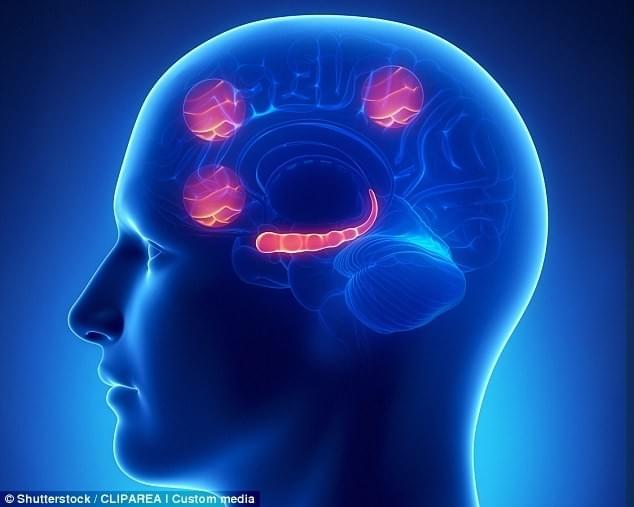 为什么有人喜欢闻汽油？这其中有科学依据，其实是一种怀旧的方式