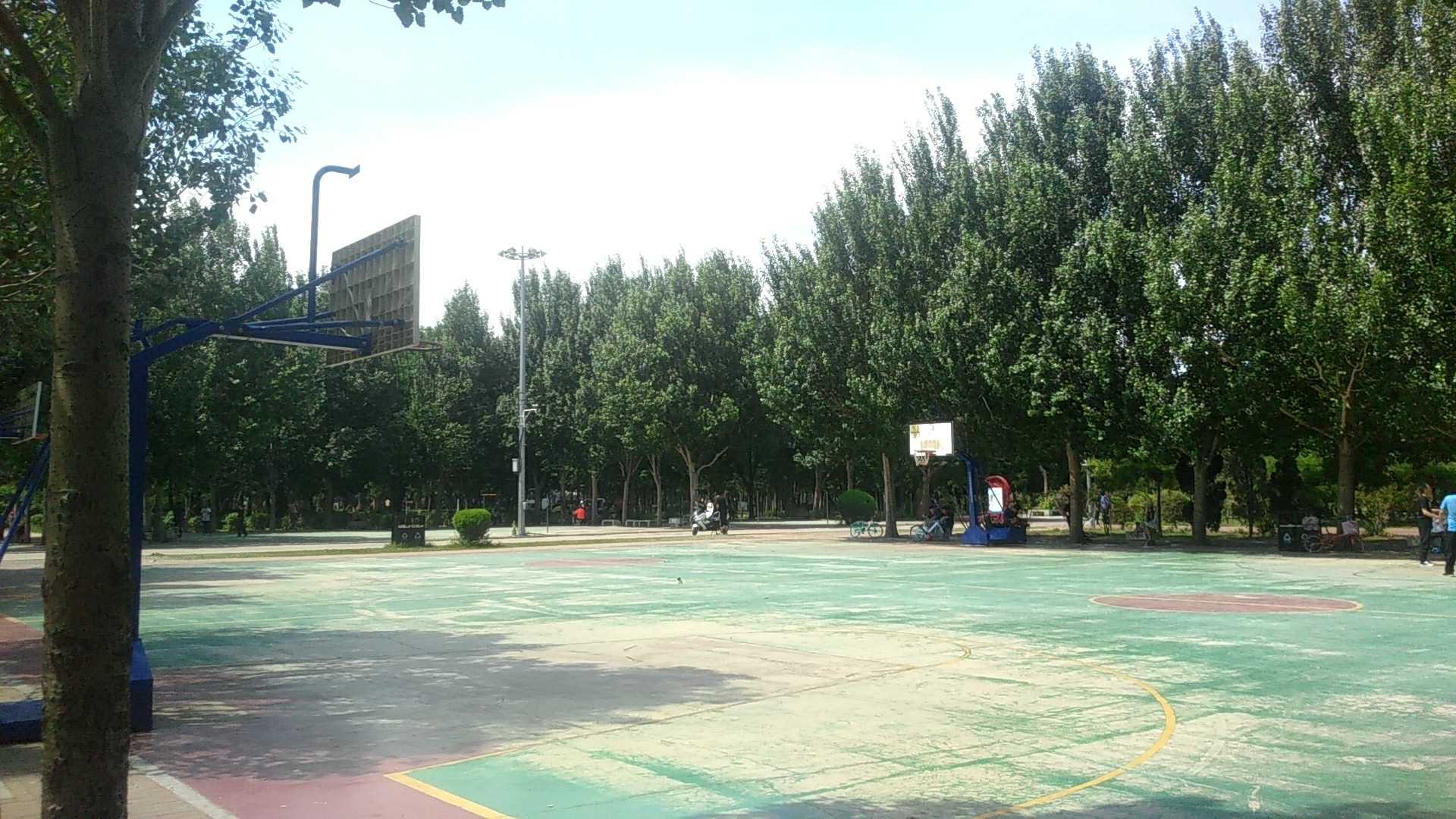沈阳的篮球公园,沈阳科普公园里有篮球场吗