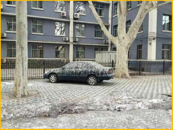 学校底下以前真的是坟场吗,学校操场真的是坟场吗