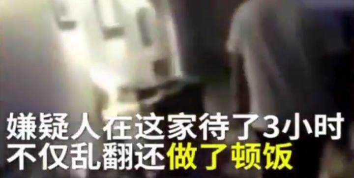 这波「搞笑违法举止集锦」，要承包律师们的今日笑点