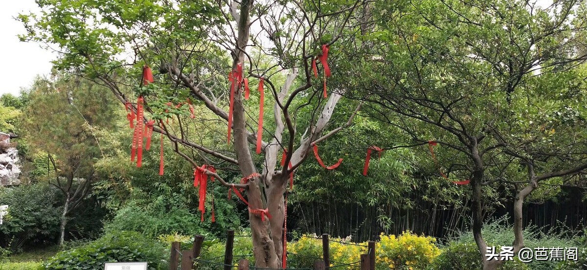 少走弯路攻略,万盛黑山谷旅游攻略