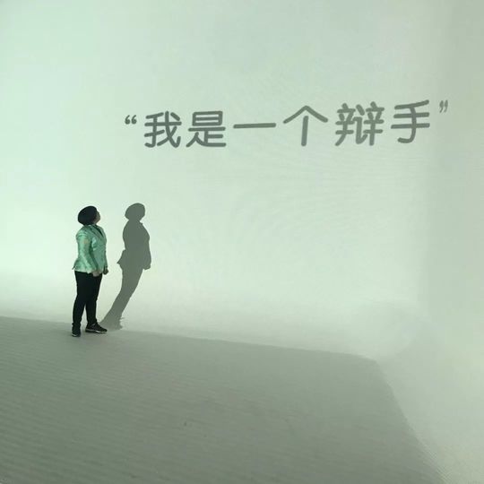 奇葩说颜如晶最终还是输给命运,奇葩说选手颜如晶