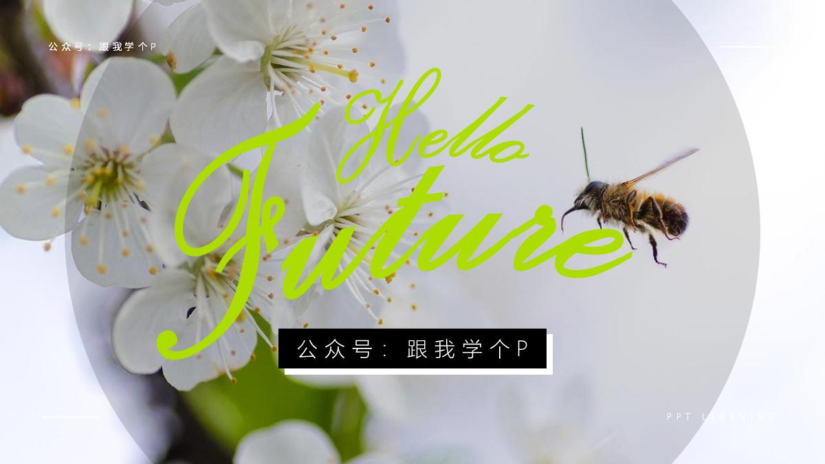 ppt文字别人看不见,ppt文字讲解图标看不见