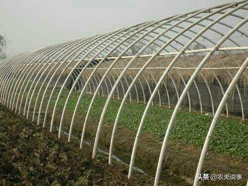 农村的竹子只能当柴烧？教你5个方法，让其变废为宝不愁卖不掉！