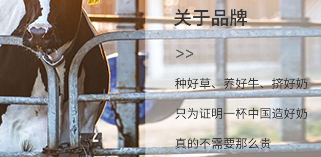 认养一头牛营销噱头,认养一头牛值不值得买