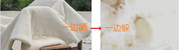 珀婷pertine除螨仪,珀婷除螨喷雾剂测评