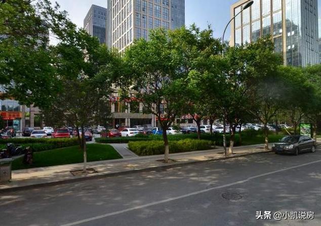 亦庄林肯公园c区住宅,北京大兴林肯公园小区a区
