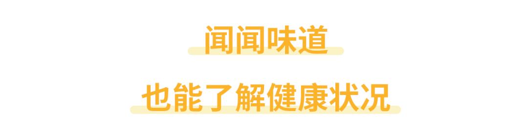 正常人尿的颜色和气味,通过小便的气味判断身体状况