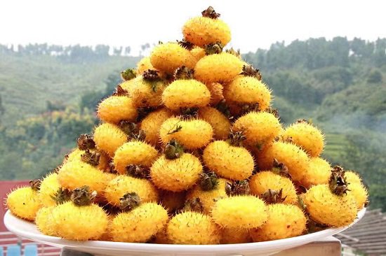 践行两山理念厚植高质量发展底色,践行两山理论推动新时代农村建设