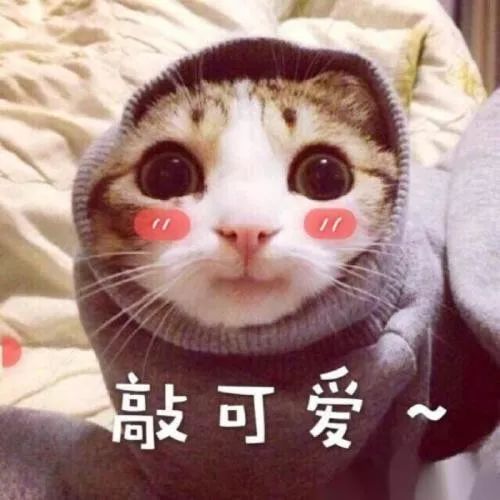 海珠区哪些地方不能去,海珠区有什么地方是值得去的