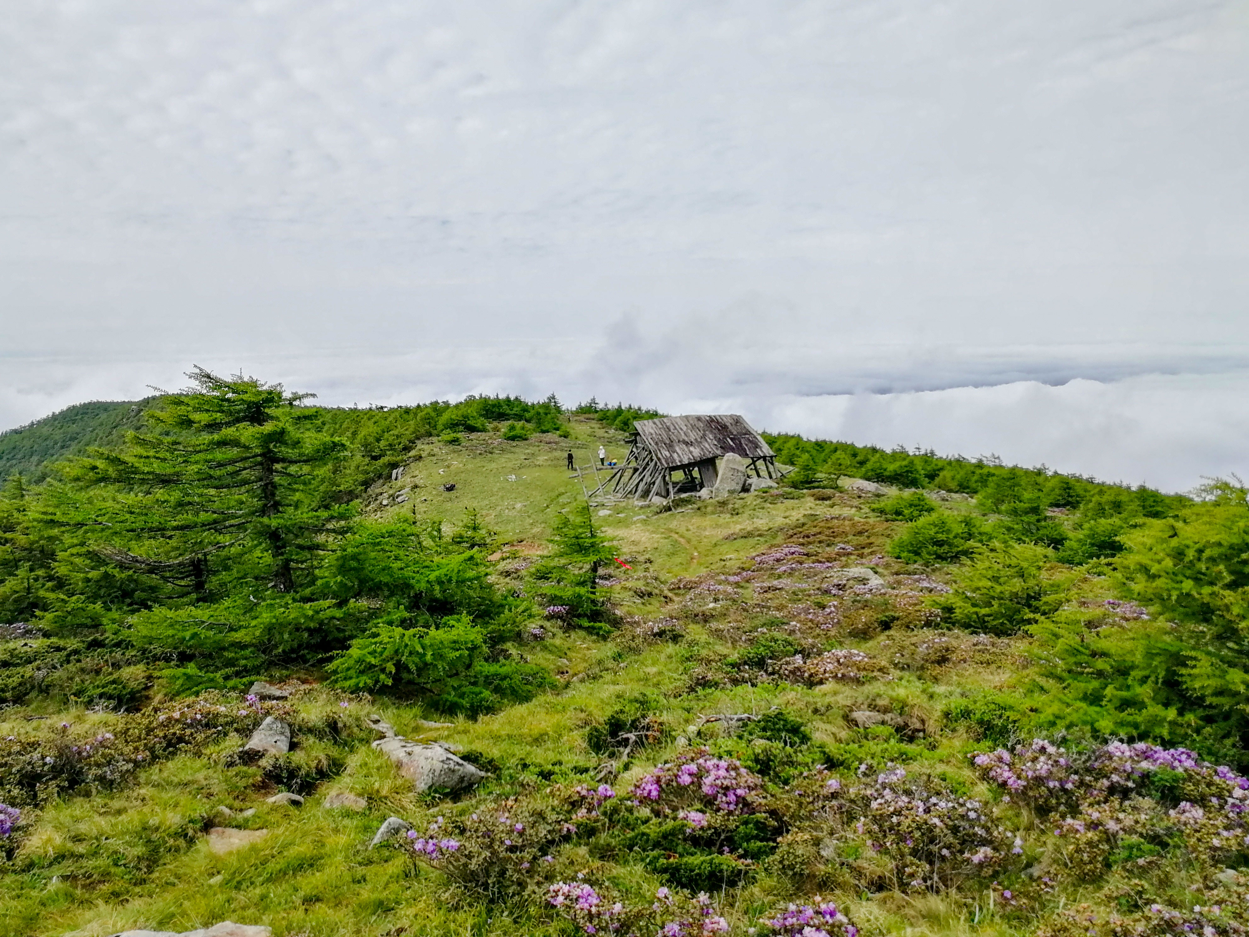 去西安旅游可以不请导游,来西安不爬华山会后悔吗