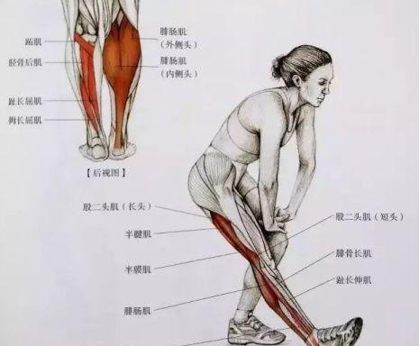 想要瘦腿又细又直的方法,想瘦腿的练起来