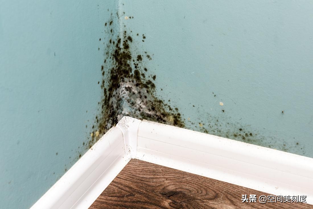 墙上顽固的霉菌怎么处理,怎么清除霉菌生活小妙招