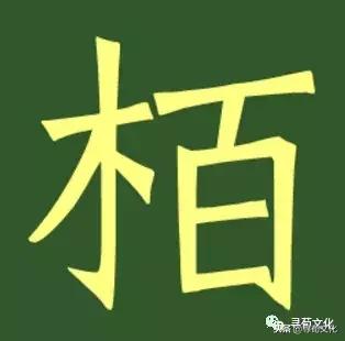 柏汉字怎么读,柏字汉字演变