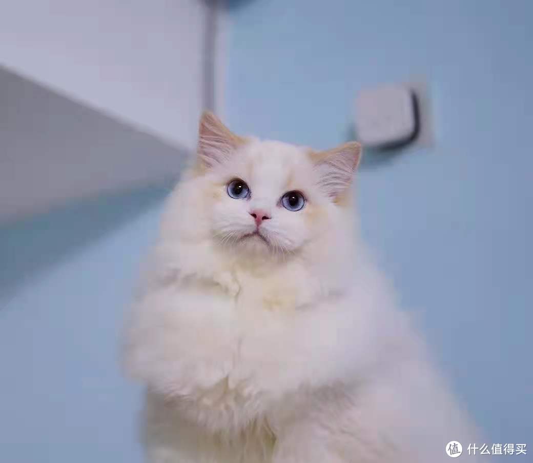戒掉网瘾专心领会的软件,戒掉网瘾课程