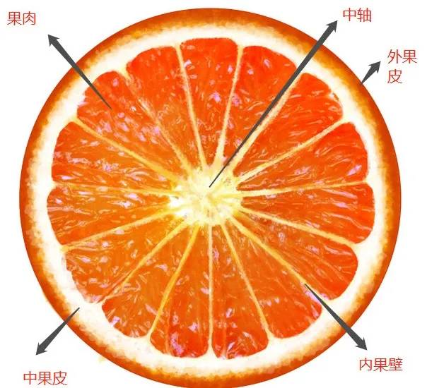 伦晚口感怎么样 (伦晚什么时候口感最好)