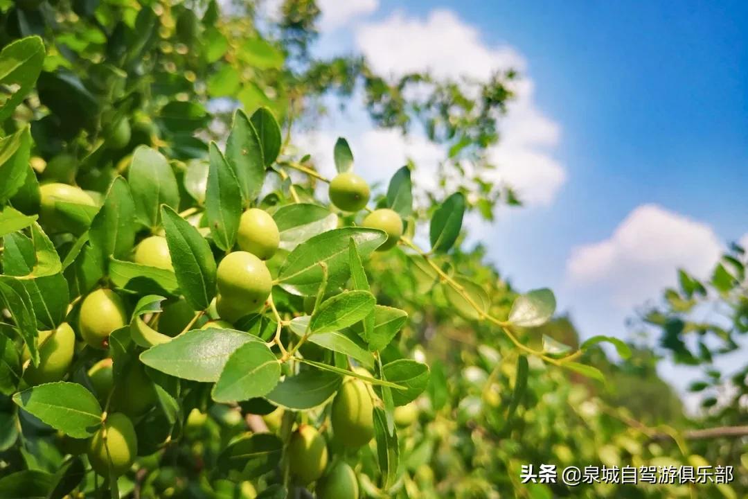 免费的济南周边一日游的绝佳去处,济南游玩免门票景点攻略