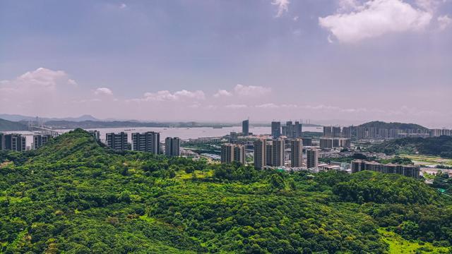 南沙黄山鲁森林公园夏季,南沙黄山鲁国家森林公园游玩攻略