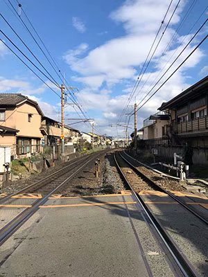2020鏃ユ湰澶ч槳,澶ч槳浜兘濂堣壇鍏ぉ瀹夋帓