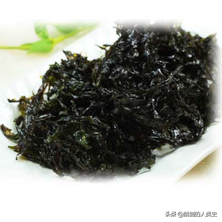 地球生物完整版,地球生物的多样性讲解