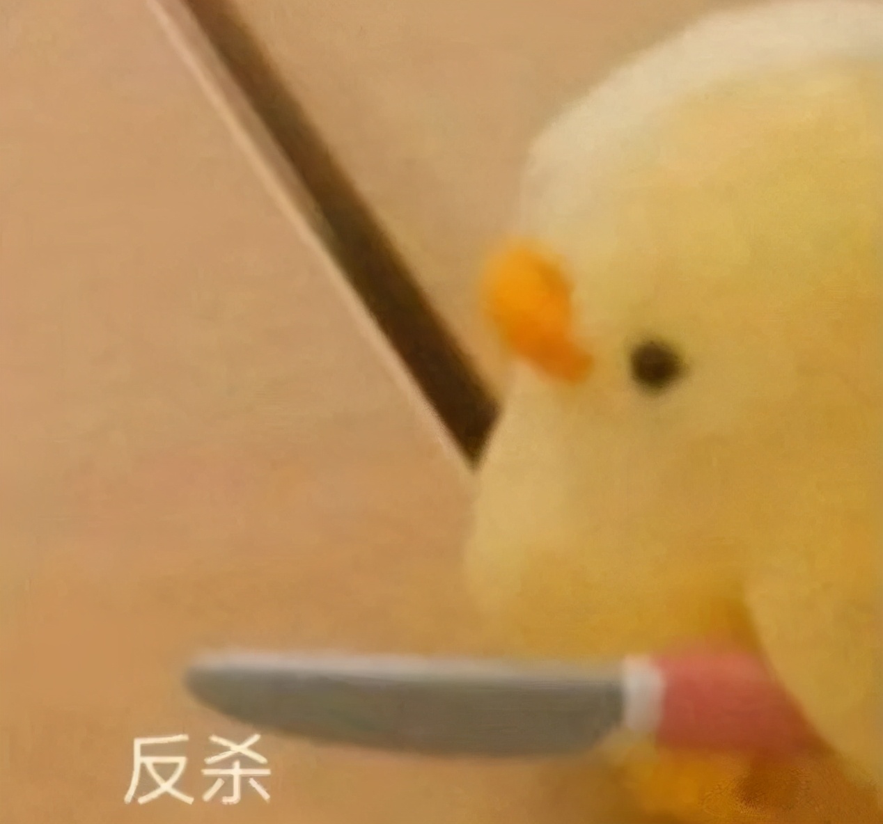 调戏女朋友的套路表情包,撩人表情包你肯定喜欢我