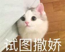 夏天大牌彩妆推荐哪款好用,这个夏天你不可错过的彩妆