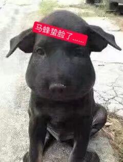 在户外钓鱼最怕什么,野外钓鱼怎么对付蚂蚁