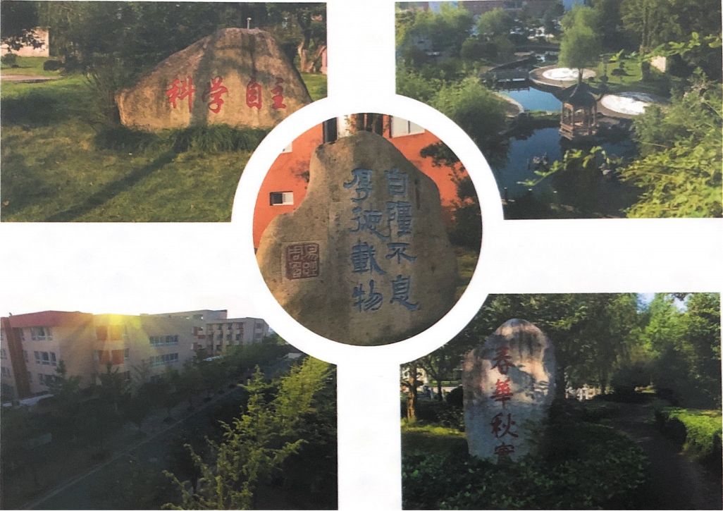 台州市战斗机,台州市路桥实验中学奇迹再现